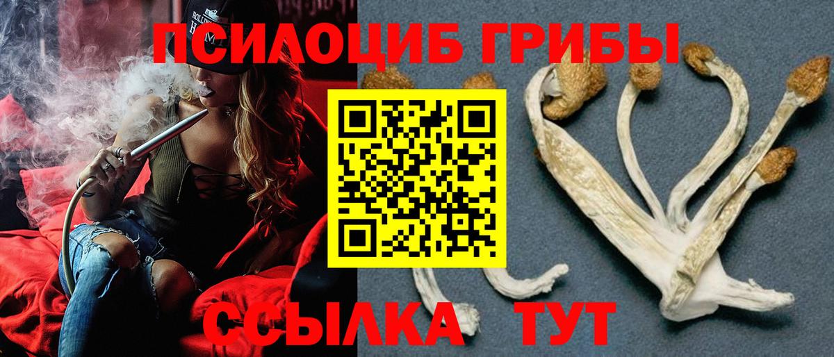 Галлюциногенные грибы MAGIC MUSHROOMS  Галлюциногенные грибы Psilocybe  Вход с VPN  Минусинск 